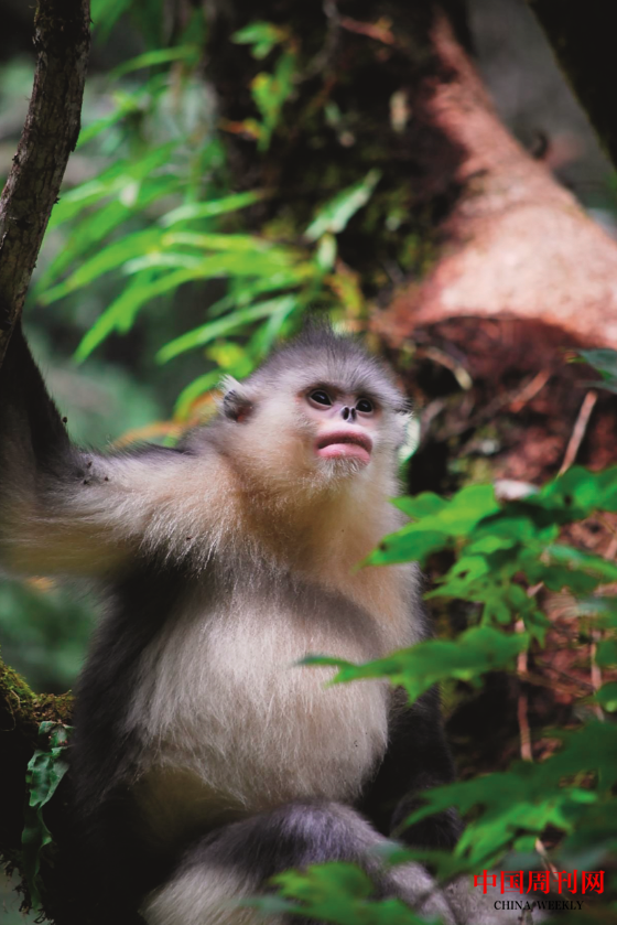 微信圖片_20201021164455.png 微信圖片_20201021164455.png