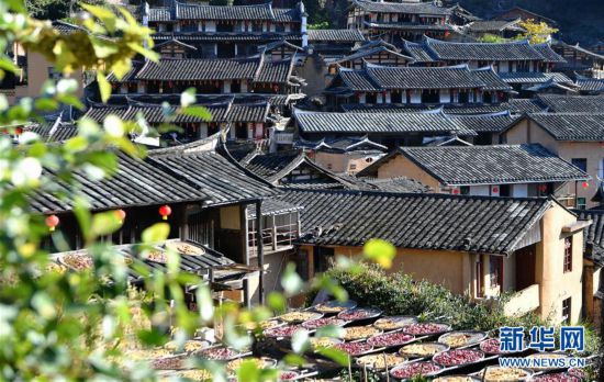 (美麗中國)(5)福建尤溪:詩意桂峰 曬秋人家