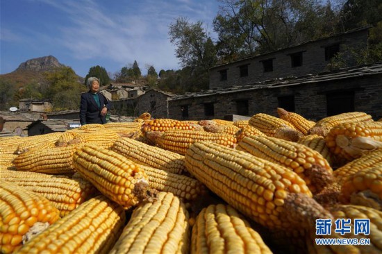 (社會(huì))(5)茶舊溝村:傳統(tǒng)村落古韻來