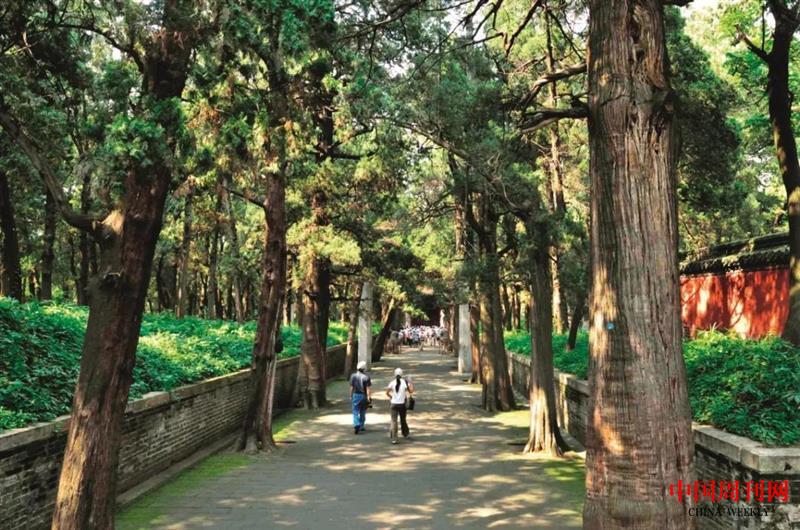 微信圖片_20201211174218.jpg 微信圖片_20201211174218.jpg