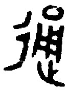 兼性思維與文化基因 兼性思維與文化基因