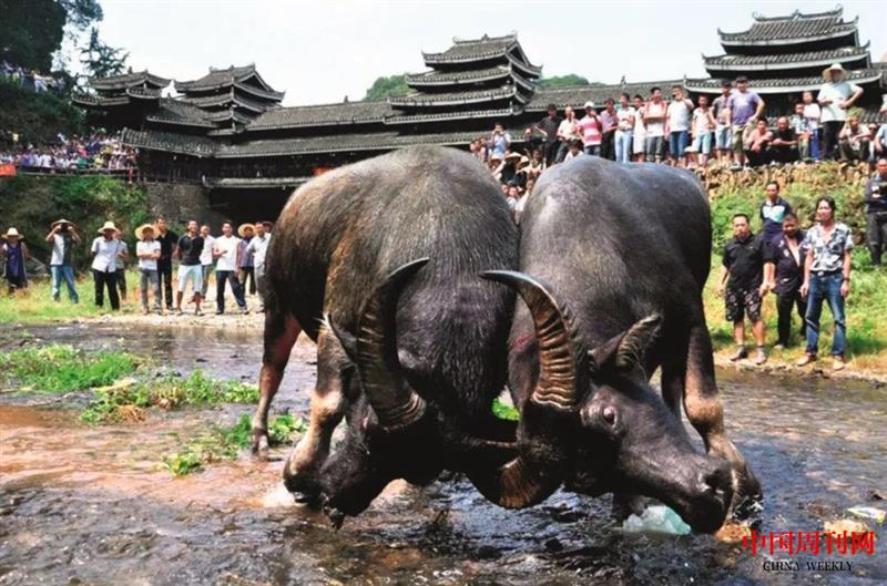 微信圖片_20210203171738.jpg 微信圖片_20210203171738.jpg