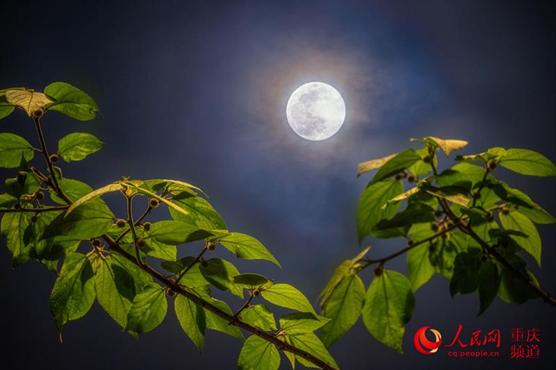 月是故鄉(xiāng)明，這一輪明月勾起了你的思念嗎？（攝于重慶渝中）。 戴建峰攝 