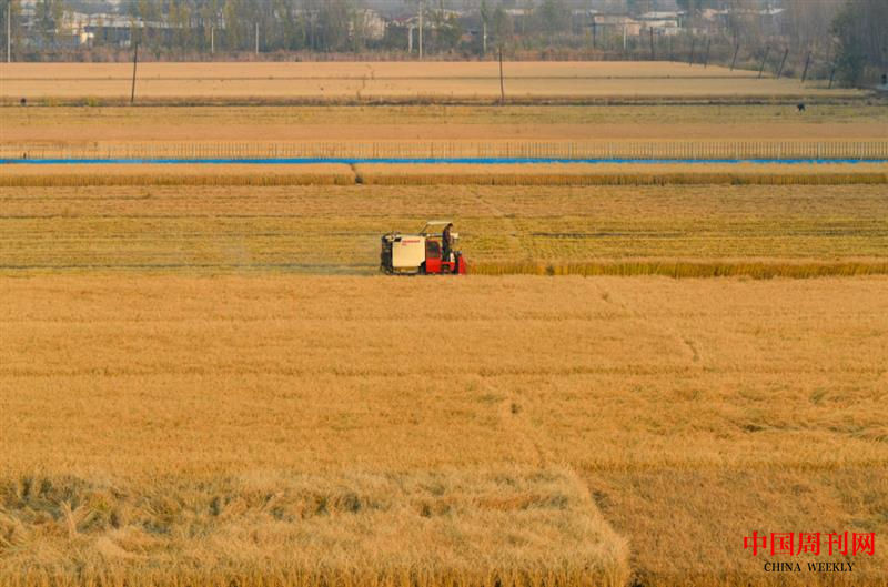 640 (26).png 640 (26).png