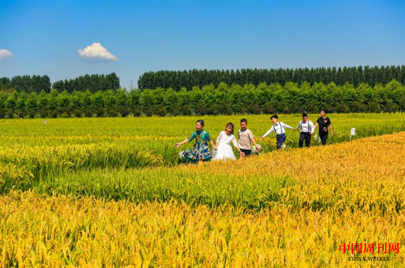 640 (27).png 640 (27).png