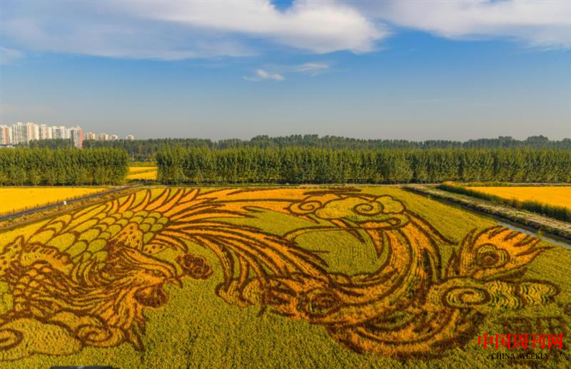 640 (28).png 640 (28).png