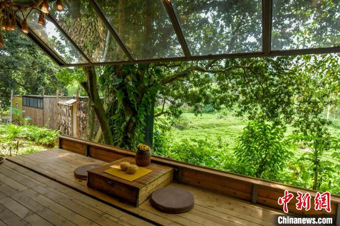 盒子書房白天能席地而坐聽鳥語蟬鳴，夜晚能看滿天星星?！●樤骑w 攝