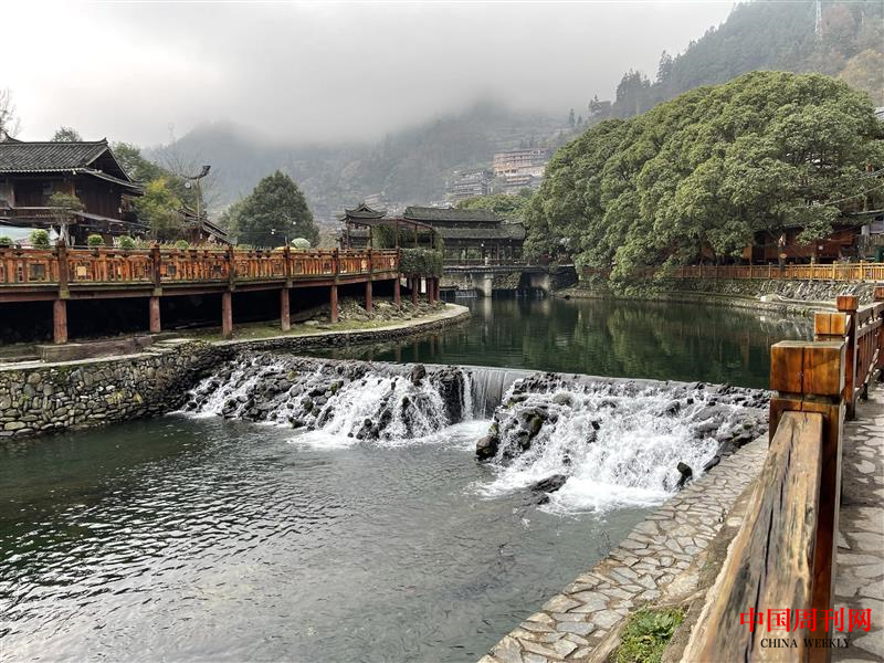 圖片5.png 圖片5.png