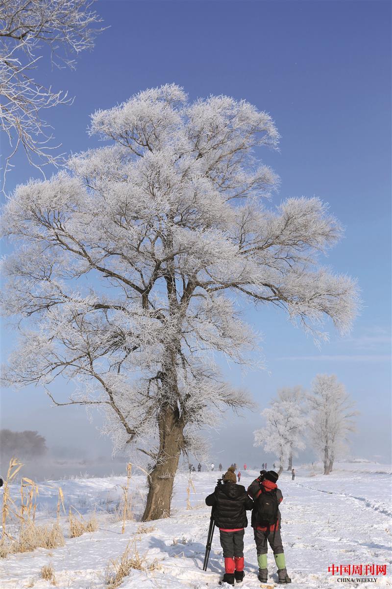延吉霧凇.jpg 延吉霧凇.jpg