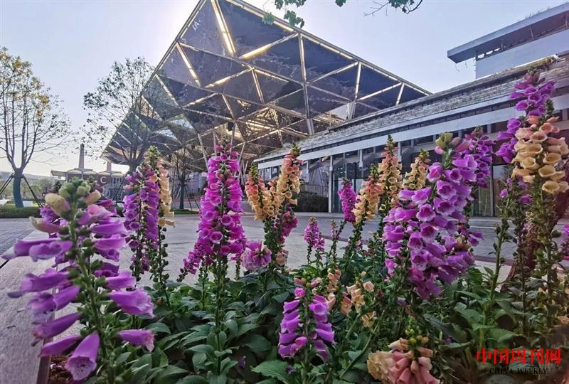 微信圖片_20220411132548.jpg 微信圖片_20220411132548.jpg