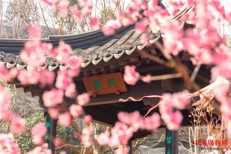 微信圖片_20220411115611.jpg 微信圖片_20220411115611.jpg