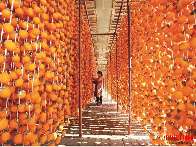 微信截圖_20221201185928.png 微信截圖_20221201185928.png