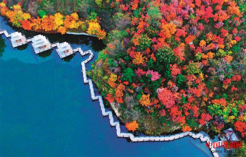 五彩金秋九如山.jpg 五彩金秋九如山.jpg