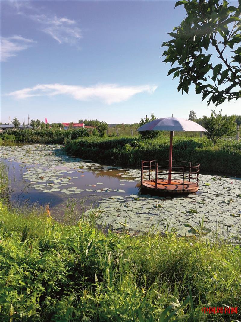 雙鴨山市寶清縣雁窩島生態(tài)美景.jpg 雙鴨山市寶清縣雁窩島生態(tài)美景.jpg