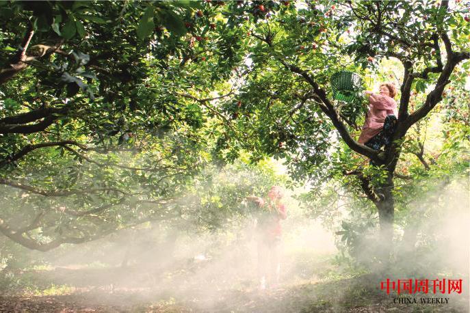 圖片8.jpg 圖片8.jpg