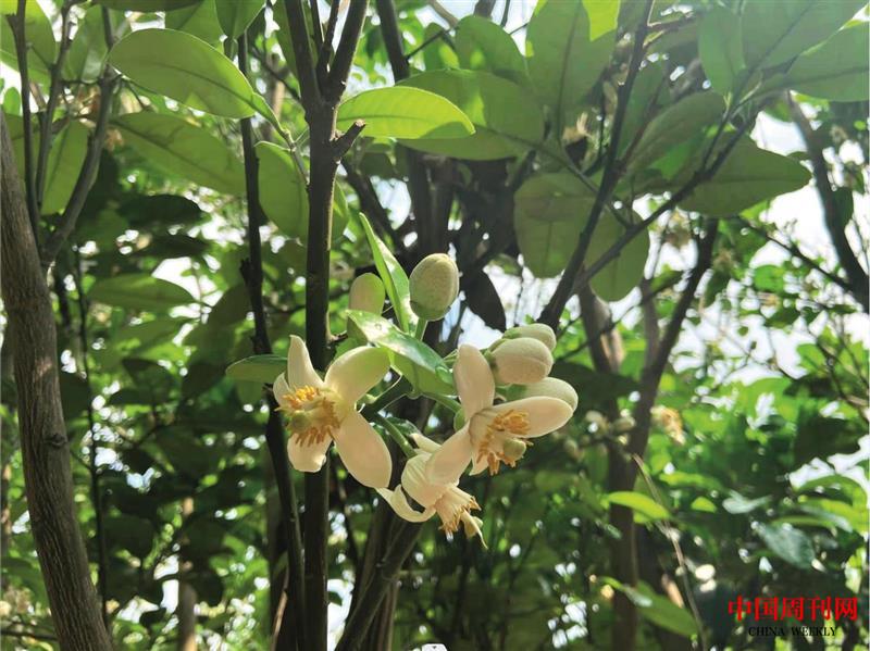 微信截圖_20230815111032.jpg 微信截圖_20230815111032.jpg