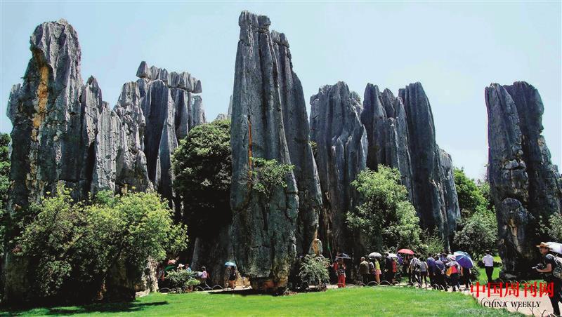 美麗的石林.jpg 美麗的石林.jpg