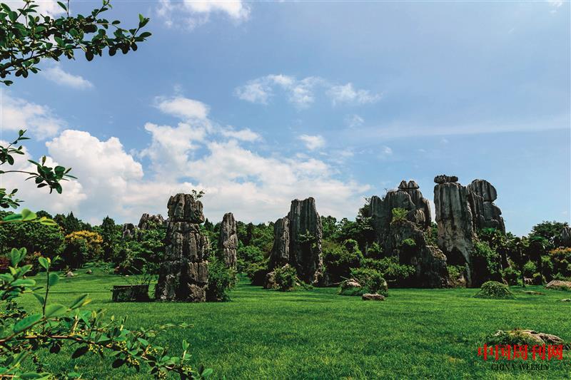 云南石林.jpg 云南石林.jpg