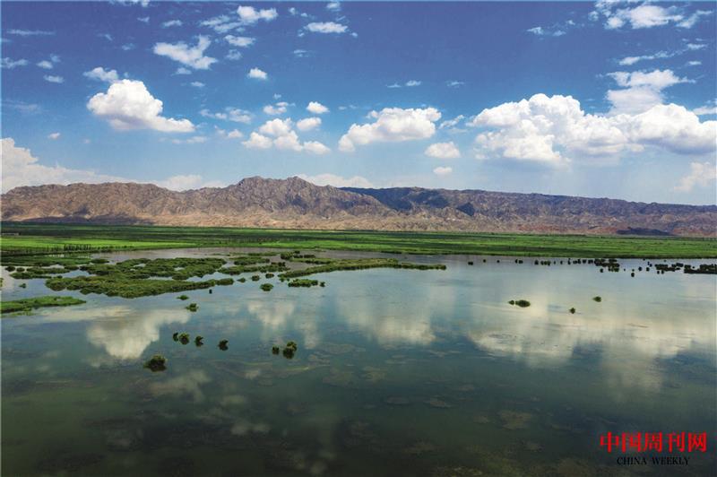 青銅峽鳥(niǎo)島.jpg 青銅峽鳥(niǎo)島.jpg