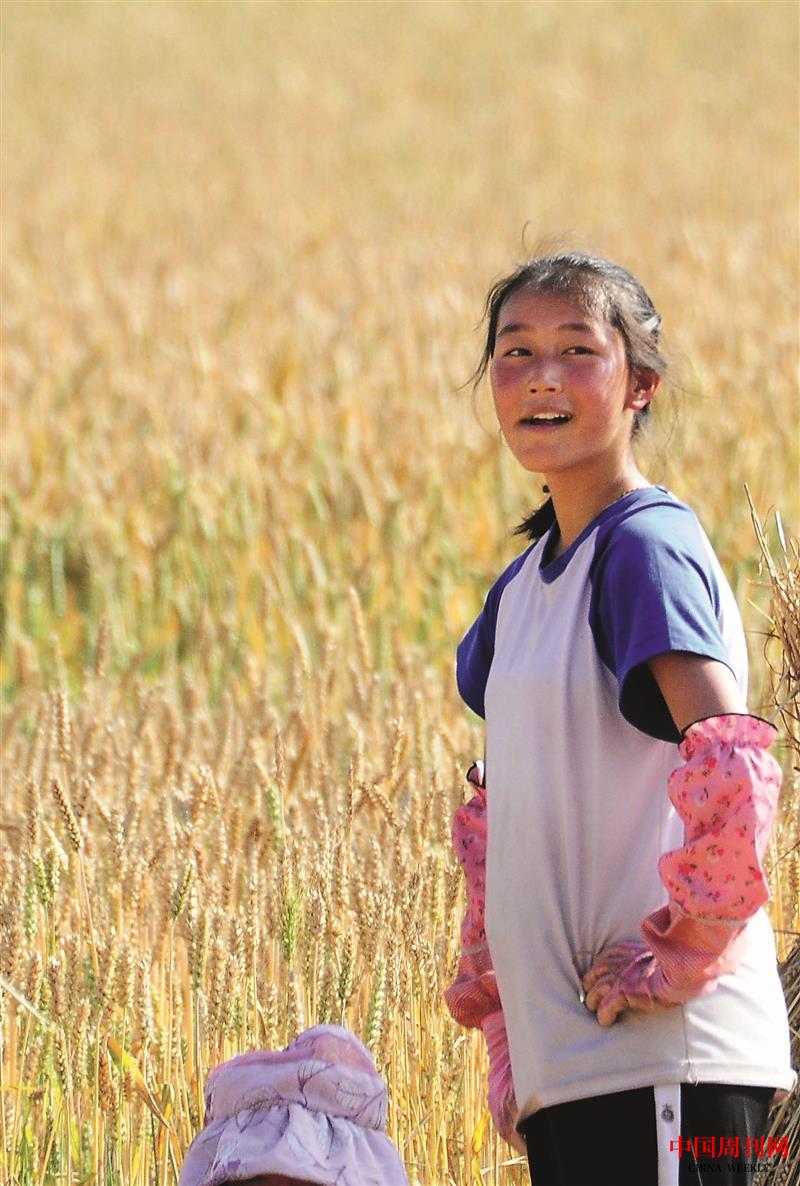 CT4547.jpg CT4547.jpg