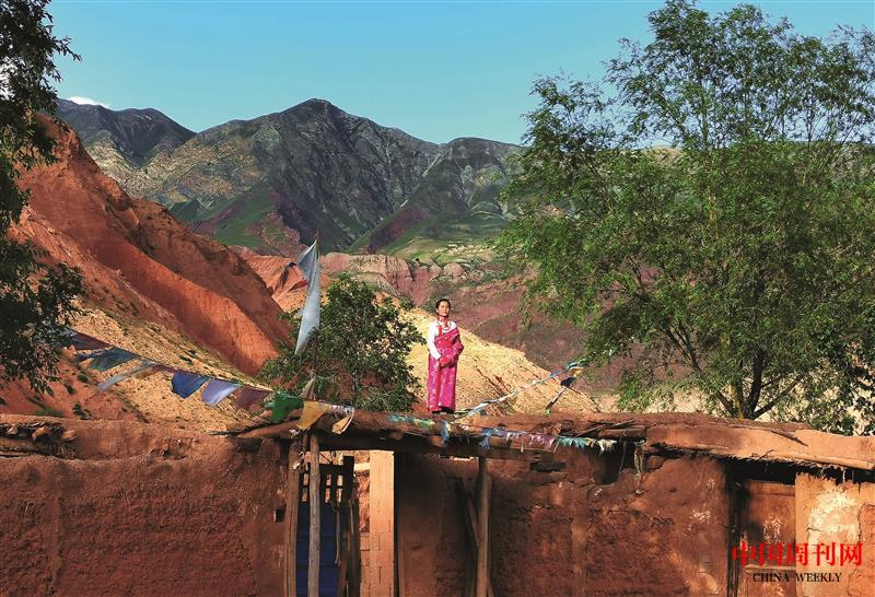 CT6187.jpg CT6187.jpg