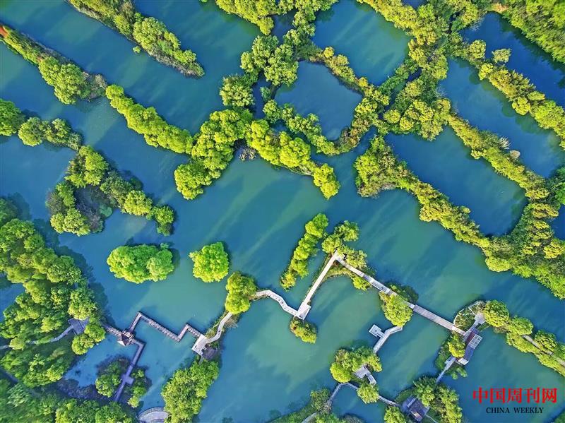 西溪濕地美景鳥瞰.jpg 西溪濕地美景鳥瞰.jpg