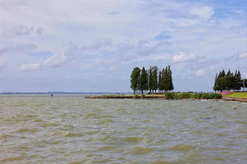 1722220328974114.png 1722220328974114.png