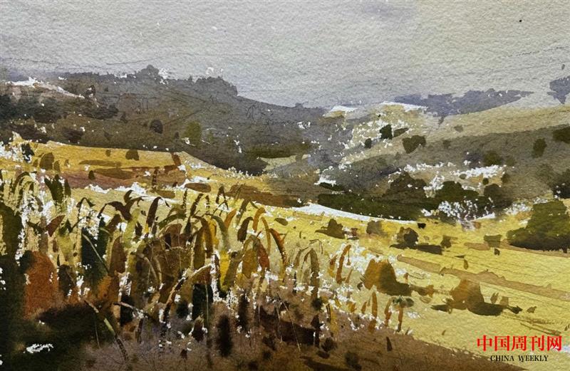 微信圖片_20250106144358.jpg 微信圖片_20250106144358.jpg