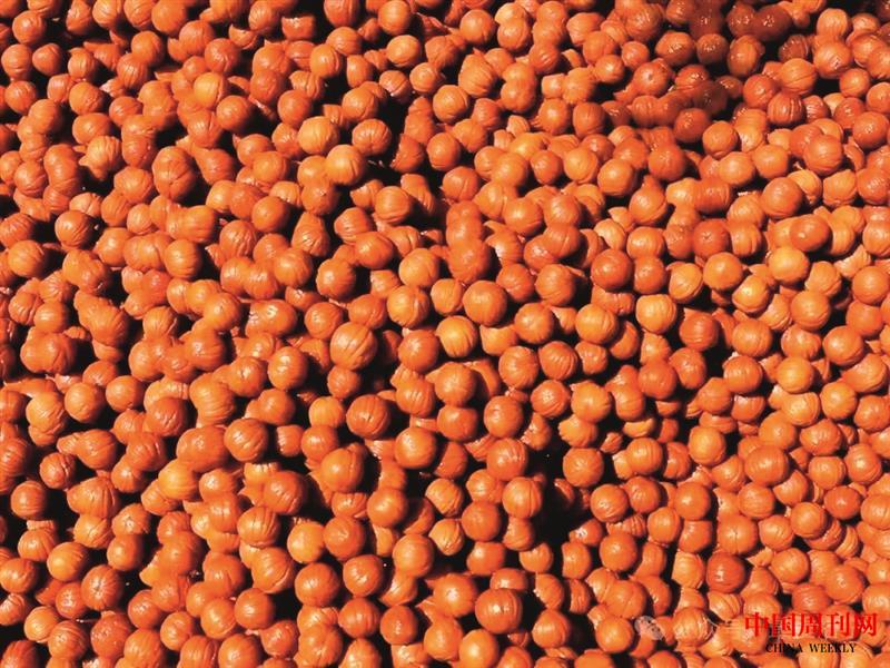 0e44d9e3cffc337e97f1f693b202f202.jpg 0e44d9e3cffc337e97f1f693b202f202.jpg